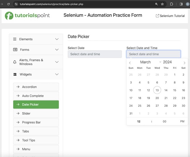 Selenium Date Time Picker 4